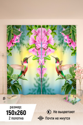 e8360d0d-e62c-4e08-98c6-4a055a359b08